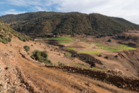 Moyen Atlas // Maroc