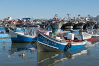 Visite de Larache