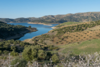 Bivouac au lac de l’OUED EL MAKHAZINE