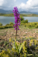 Retour au bivouac du lac de Metsovo