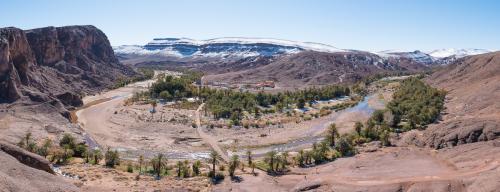 Bivouac de l'Oasis de Fint // Maroc
