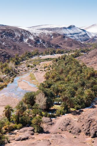 Bivouac de l'Oasis de Fint // Maroc