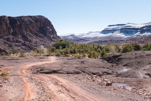 Randonnée dans l'Oasis de Fint