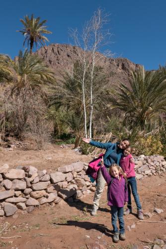 Randonnée dans l'Oasis de Fint