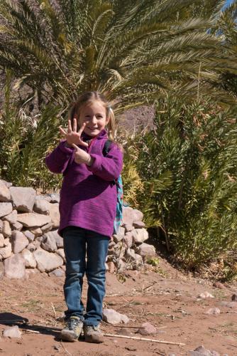 Randonnée dans l'Oasis de Fint