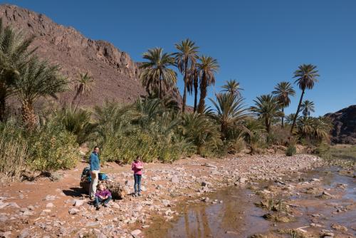 Randonnée dans l'Oasis de Fint