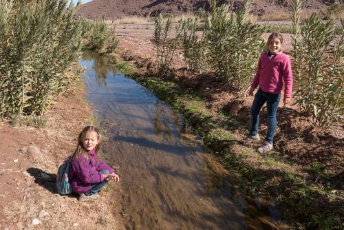 Randonnée dans l'Oasis de Fint