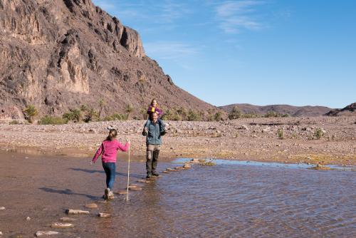 Randonnée dans l'Oasis de Fint