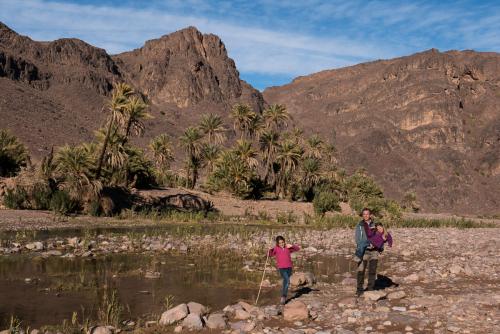 Randonnée dans l'Oasis de Fint