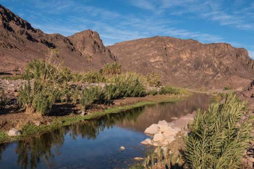 Randonnée dans l'Oasis de Fint