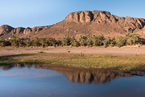 Randonnée dans l'Oasis de Fint