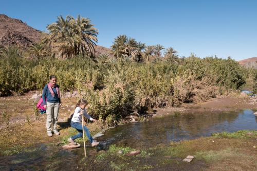 Randonnée dans l'Oasis de Fint