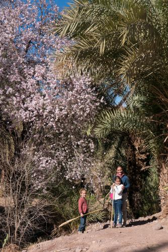Randonnée dans l'Oasis de Fint