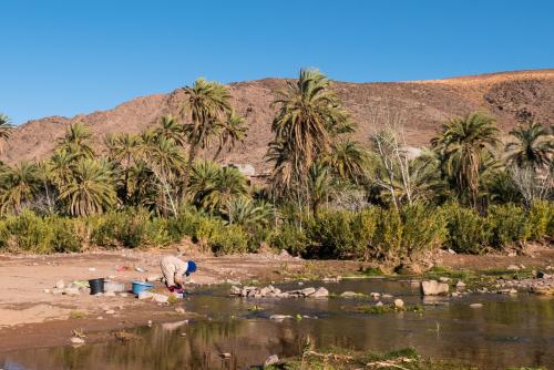Randonnée dans l'Oasis de Fint