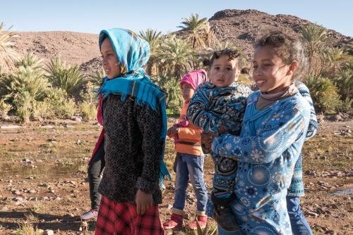 Randonnée dans l'Oasis de Fint