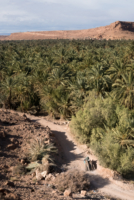 La Vallée du ZIZ