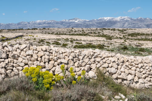 Bivouac sur l'île de Pag