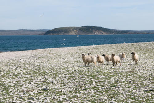 Journée canoë sur l'île de Pag