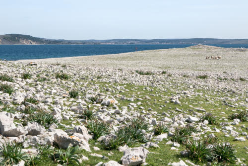 Journée canoë sur l'île de Pag