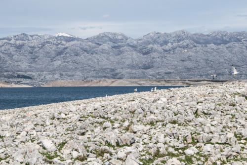 Journée canoë sur l'île de Pag