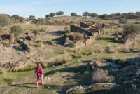 Parc du Tejo