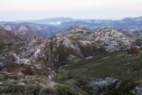 Los Picos de Europa