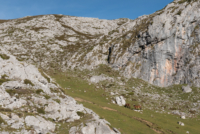 Los Picos de Europa