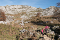 Los Picos de Europa