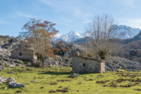 Los Picos de Europa
