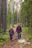 Parc national de Pyhä-Häkki
