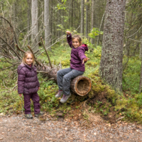 Parc national de Pyhä-Häkki