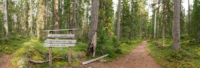 Parc national de Pyhä-Häkki