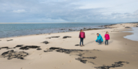 Au pied de la Dune du Pyla