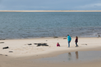 Au pied de la Dune du Pyla