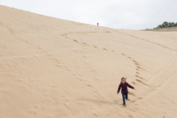 Au pied de la Dune du Pyla