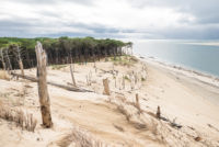 Au pied de la Dune du Pyla