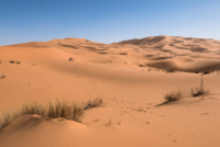 Exploration de l'Erg Chebbi