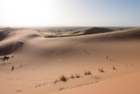 Exploration de l'Erg Chebbi