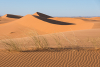 Exploration de l'Erg Chebbi