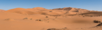 Exploration de l'Erg Chebbi