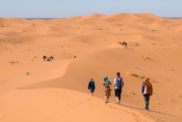 Exploration de l'Erg Chebbi