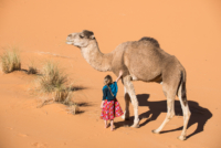 Exploration de l'Erg Chebbi