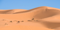 Exploration de l'Erg Chebbi