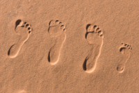 Exploration de l'Erg Chebbi