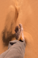 Exploration de l'Erg Chebbi