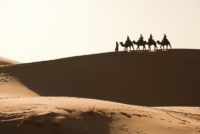 Exploration de l'Erg Chebbi
