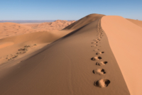 Exploration de l'Erg Chebbi