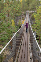 Parc national de Repovesi 