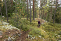 Parc national de Repovesi 