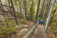 Parc national de Repovesi 